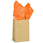 BG-AL-335-B-PG-AM-415-B-O-NO-LOGO
