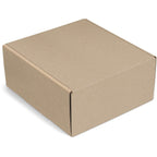 CP-AM-1018-B-02-NO-LOGO