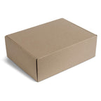 PG-AM-396-B-02-NO-LOGO
